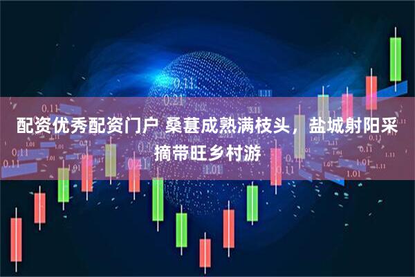 配资优秀配资门户 桑葚成熟满枝头，盐城射阳采摘带旺乡村游
