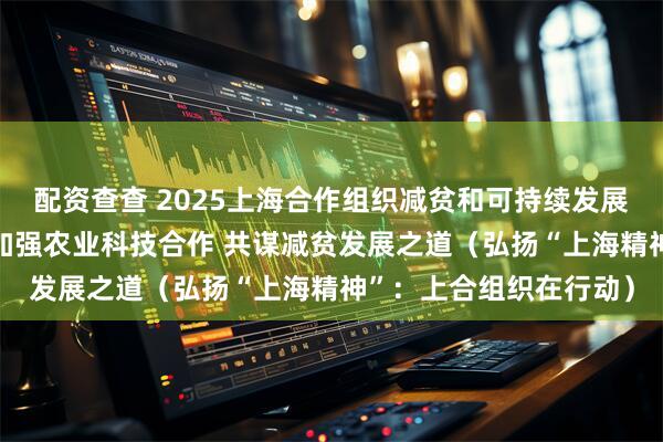 配资查查 2025上海合作组织减贫和可持续发展论坛杨凌分论坛举行 加强农业科技合作 共谋减贫发展之道（弘扬“上海精神”：上合组织在行动）