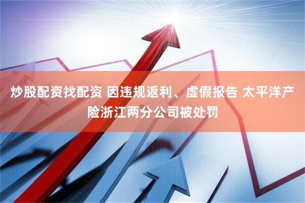 炒股配资找配资 因违规返利、虚假报告 太平洋产险浙江两分公司被处罚