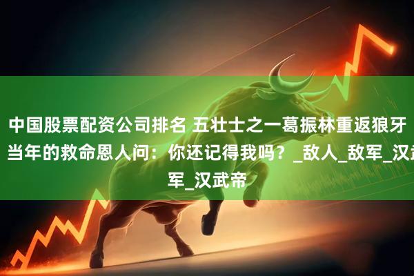 中国股票配资公司排名 五壮士之一葛振林重返狼牙山，当年的救命恩人问：你还记得我吗？_敌人_敌军_汉武帝