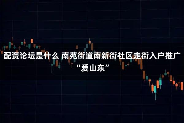 配资论坛是什么 南苑街道南新街社区走街入户推广“爱山东”