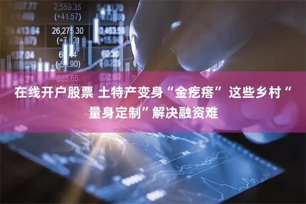 在线开户股票 土特产变身“金疙瘩” 这些乡村“量身定制”解决融资难