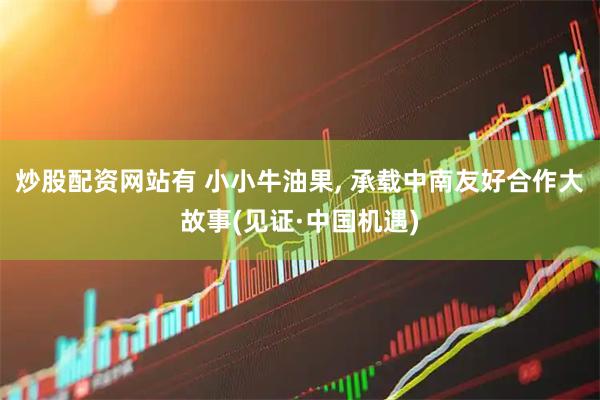 炒股配资网站有 小小牛油果, 承载中南友好合作大故事(见证·中国机遇)